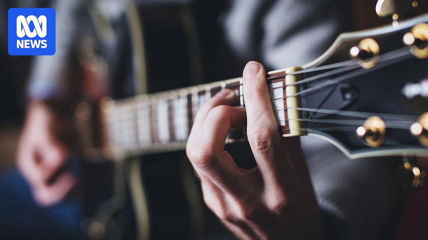 Salty Dog Hotel the target of noise complaints as performers say Tasmanian live music is under threat