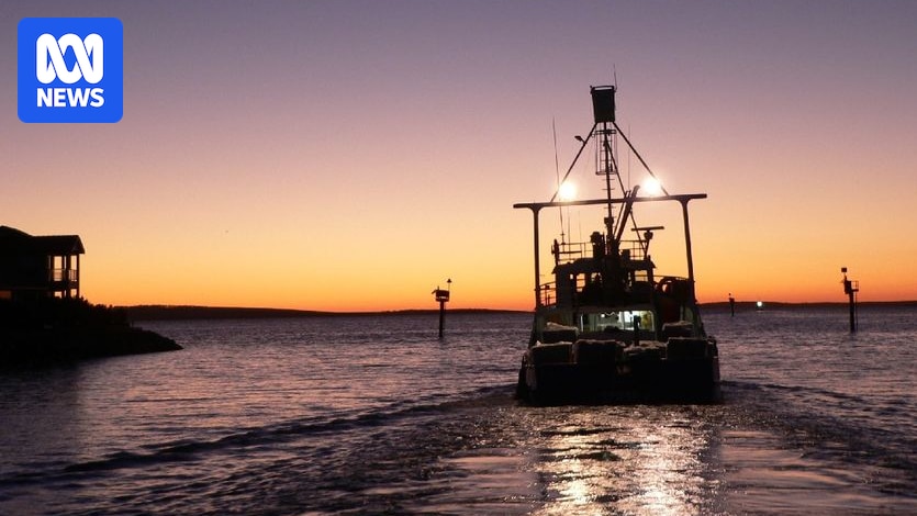 SA authorities confirm Port Lincoln tuna deaths not caused by harmful algal bloom