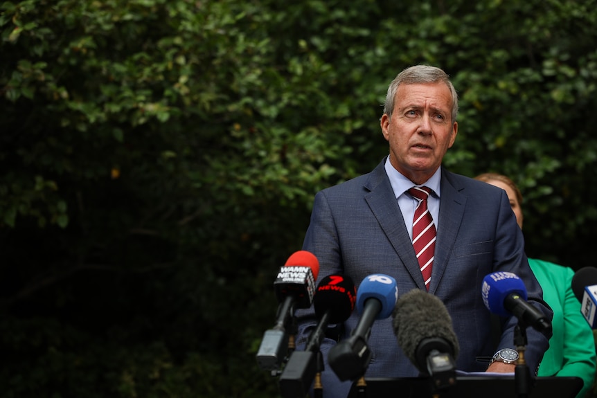 A mid-shot of Reece Whitby speaking outdoors at a media conference wearing a blue suit, blue shirt and red tie.