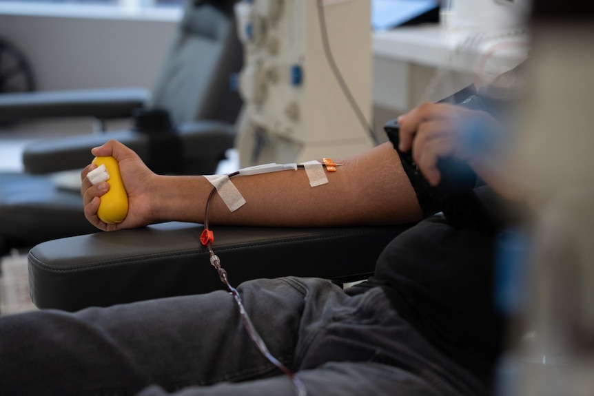 A needle held in place on a person's inner arm and a tube filled with blood lays across the body. The hand squeezes a ball