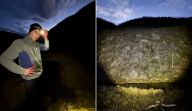 Top-rated headtorch for hiking and camping: Aussies say the powerful Ledlenser H8R is ‘the best for its size and price’