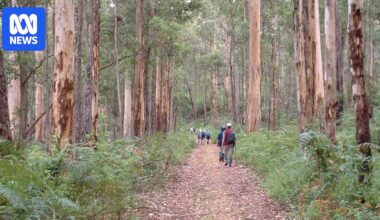 Local governments support move to add world-famous Bibbulmun Track to heritage list