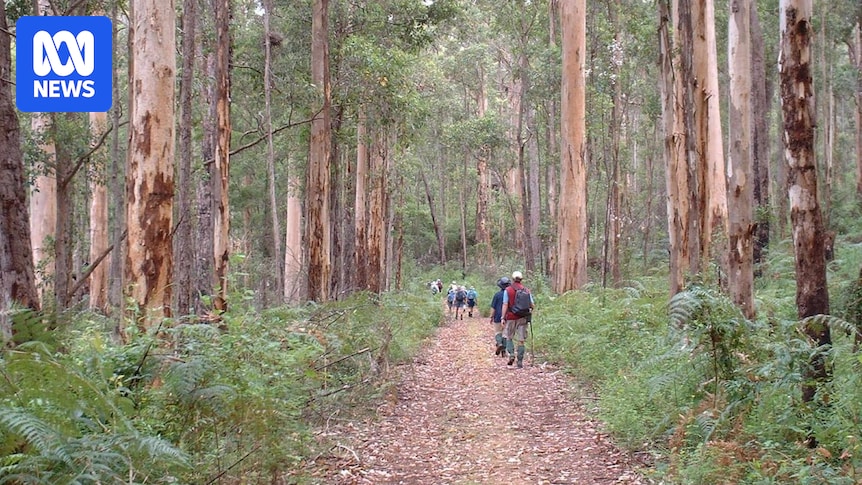 Local governments support move to add world-famous Bibbulmun Track to heritage list