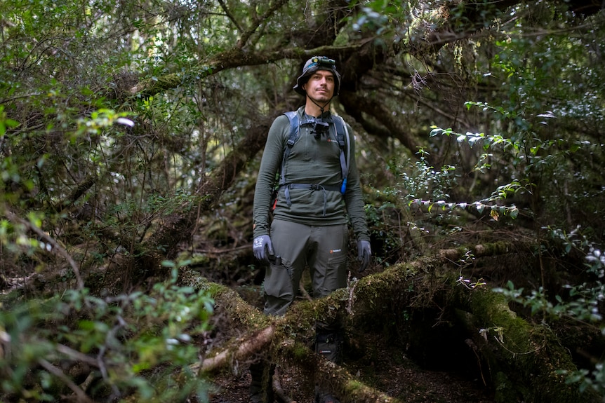 Man wearing long sleeve shirt and pants, plus gloves and backpack and hat, stands in mossy forest. Two branches make x shape