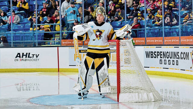 Penguins recall goaltender Sergei Murashov from Wilkes-Barre/Scranton