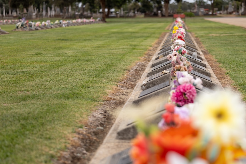 Lines of graves in a grassy field at the Benalla cemetery.