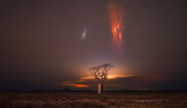 Subscribe to The Australian | Newspaper home delivery, website, iPad, iPhone & Android apps