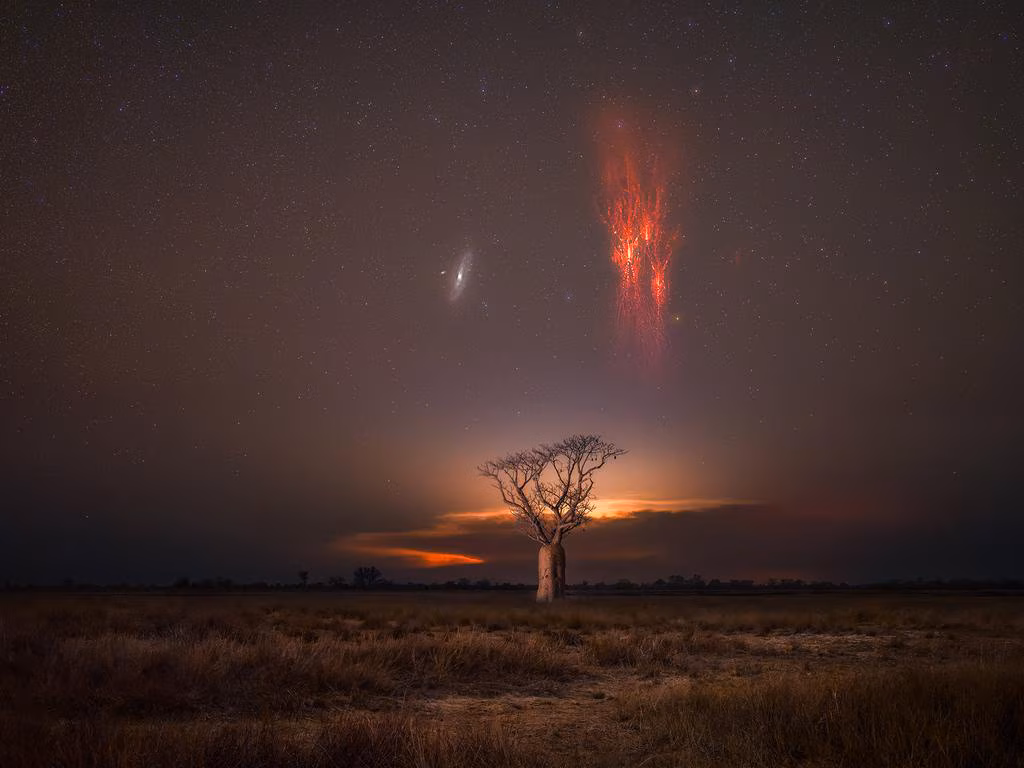 Subscribe to The Australian | Newspaper home delivery, website, iPad, iPhone & Android apps