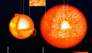 A recent study reveals that magnetic properties of a red giant (shown here in comparison to the Sun) may survive the death of the star (Credit : ESO)