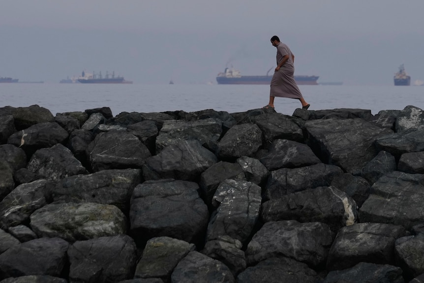 A man walks along the shore, with cargo ships in the background.