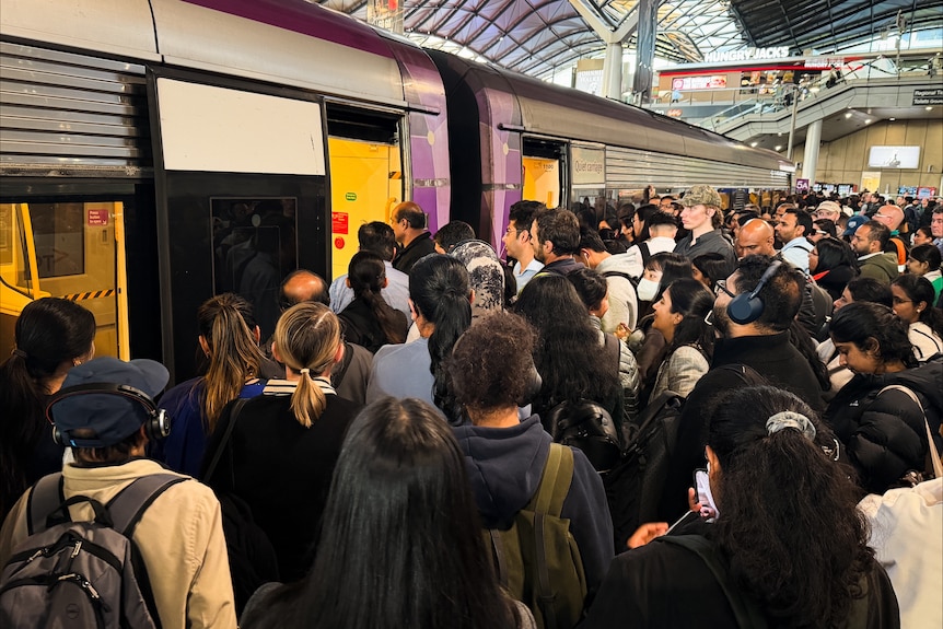 A large, tightly packed crowd gather around the two open doors of a train at an indoor station.