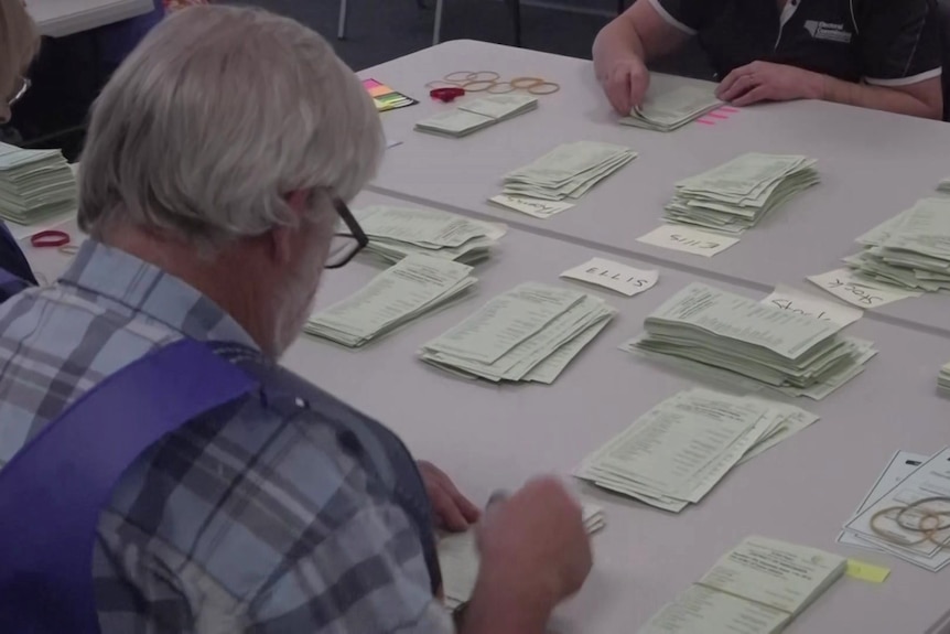 The back of a man counting ballot papers and putting them into different piles under names Thomas, Ellis and Stock