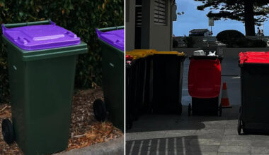 Residents 'forced to carry cost' of controversial $3.6m bin change: 'No opt out'