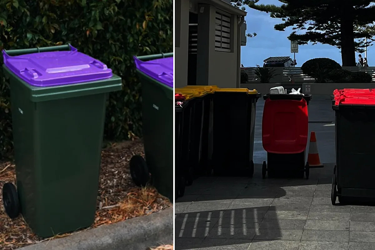 Residents 'forced to carry cost' of controversial $3.6m bin change: 'No opt out'