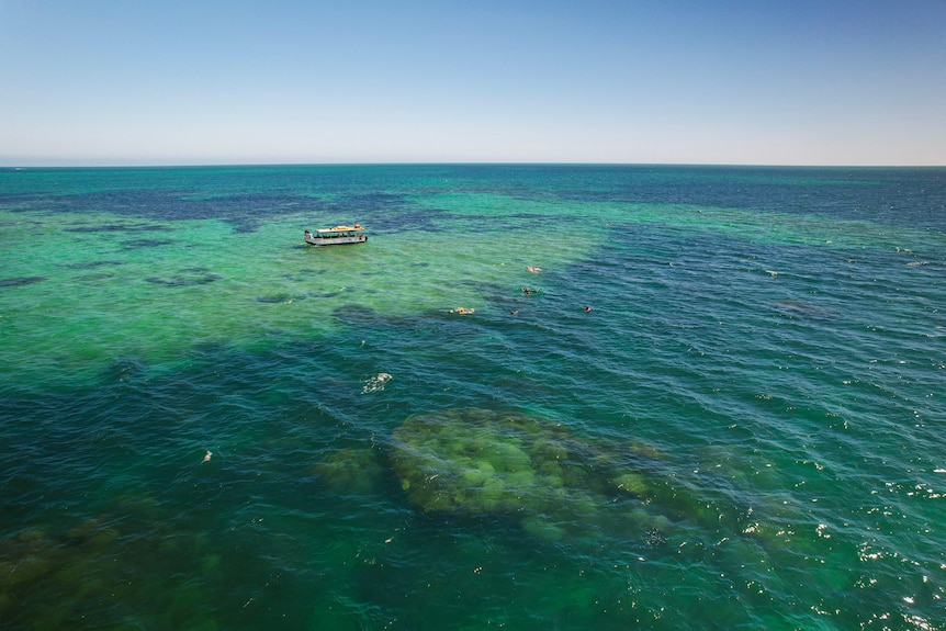 An aerial image of a medium-sized boat floating on a blue-green reef with snorkelers in the foreground.