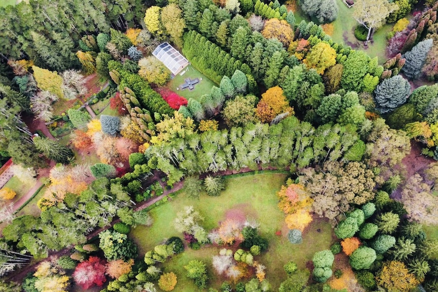 A drone photo of a garden during autumn.