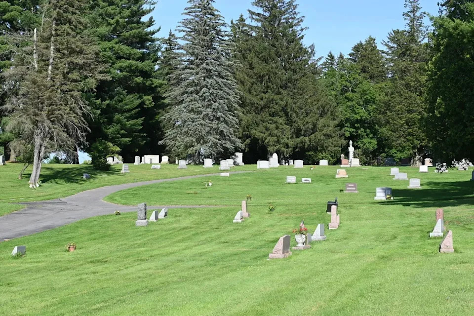 East Lawn Cemetery's undisturbed soil, minimal pesticide use and rarely disturbed ground create ideal nesting conditions, researchers said (Bryan Danforth)