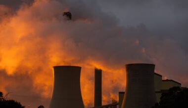 ‘Makes absolutely no sense’: Australia’s energy exports questioned as fuel crisis exposes domestic supply gap