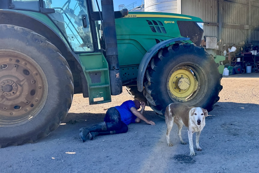 A man lying under a tractor looking up at its wheel, with a dog in front of him staring at the camera.