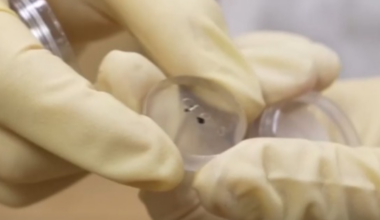 Chinese scientists discover two new lunar minerals