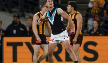 Butters responds after week of scrutiny, Hawks sweat on MRO outcome