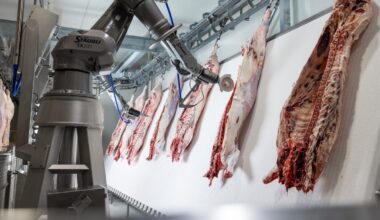 AI could reshape “almost every aspect” of red meat processing
