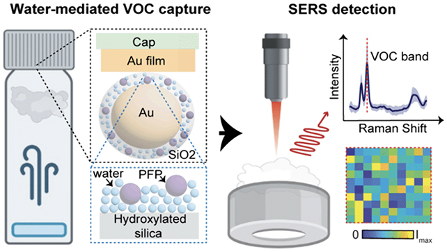 Breath sensor graphic