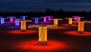 Bruce Munro Fibre Optic Symphonic Orchestra photo by Serena Munro