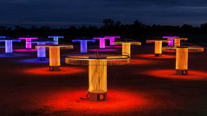 Bruce Munro Fibre Optic Symphonic Orchestra photo by Serena Munro