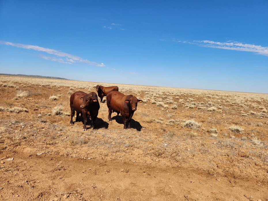 Good data gives confidence to genetic decisions