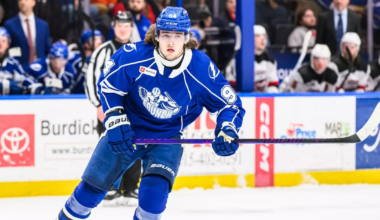Tampa Bay Lightning recall forward Conor Geekie, goaltender Brandon Halverson from AHL