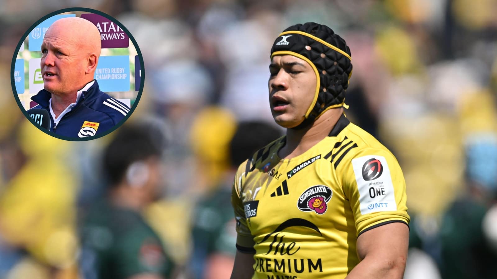 Cheslin Kolbe's future decided amid Stormers' pursuit as John Dobson looks abroad for Springbok's replacement
