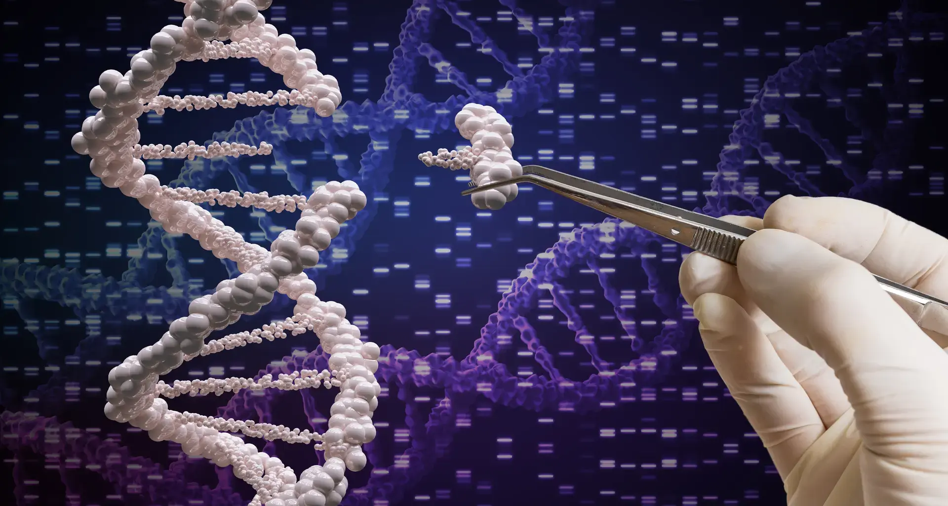 Brighter Side of News