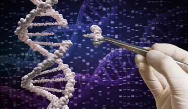 Brighter Side of News