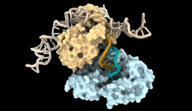 DNA Can Be Built in a Way We've Never Seen Before, Study Finds : ScienceAlert