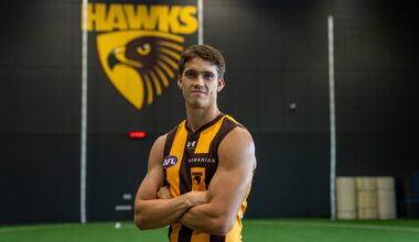 The 'calculated move' that put new Hawk back on the AFL radar
