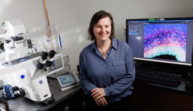 Three-Pronged Approach To Explain Brain