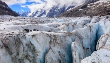 How Earth flipped into an ice age 350 million years ago