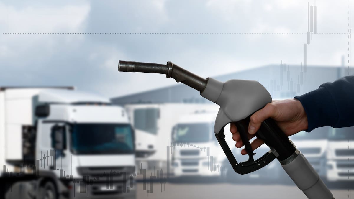 Fuel crisis: How New Zealand’s response compares with other countries – from free public transport to work from home days