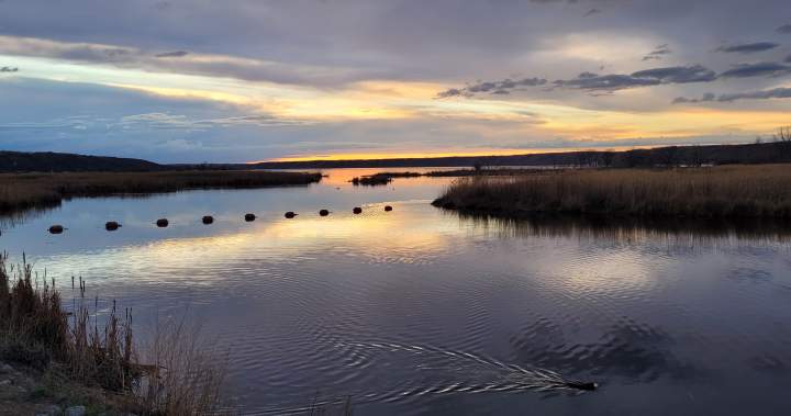 New mental health facility to open in Fort Qu’Appelle - Regina