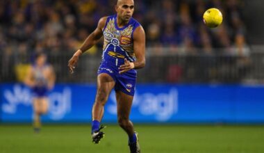Exclusive: Premiership Eagle says AFL not solely to blame for drop in Indigenous players