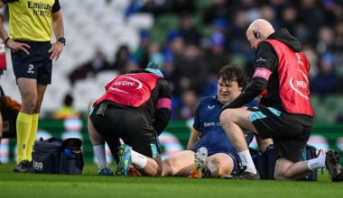 Leinster looking at two ex-players to fill void left by injury crisis