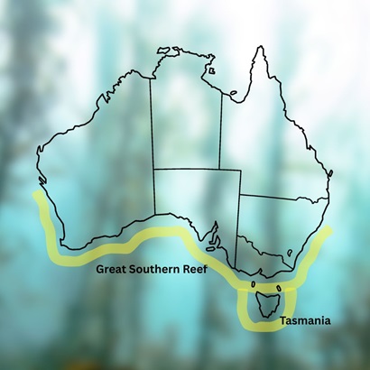 Map of the Great Southern Reef.