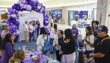 180,000 people will see BTS in Tampa. The impact is already huge. - Tampa Bay Times