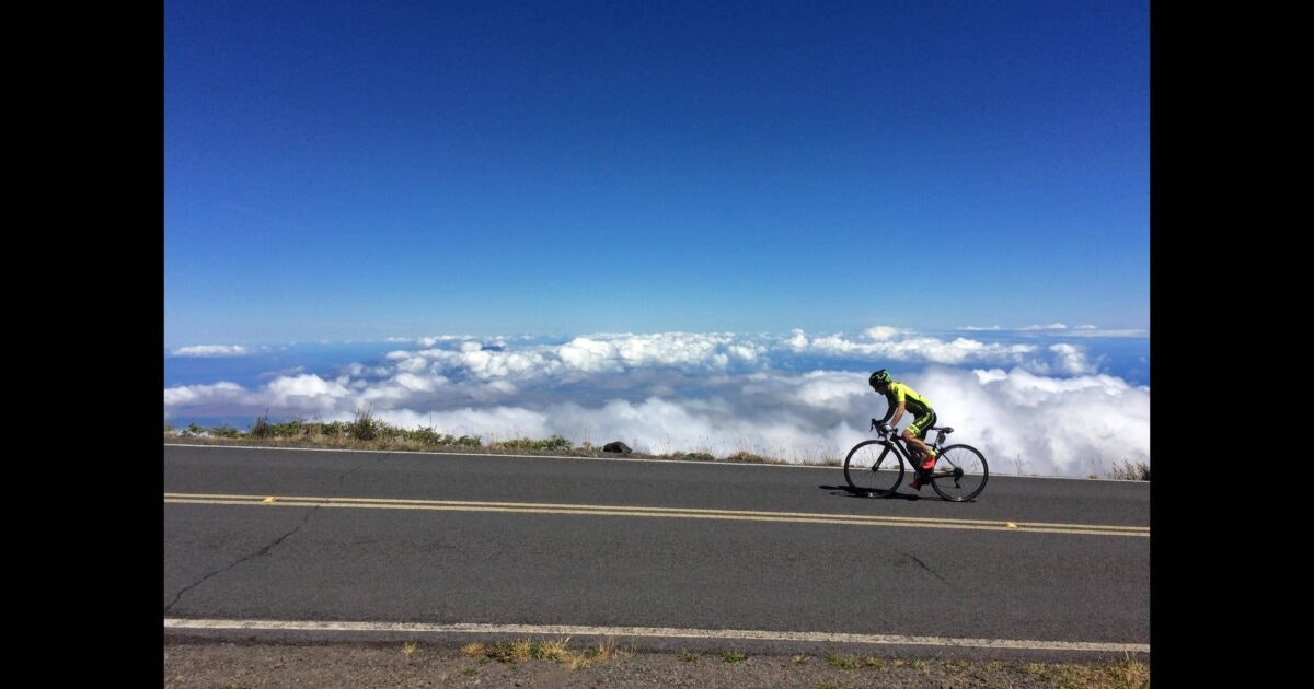 Aloha State Daily logo