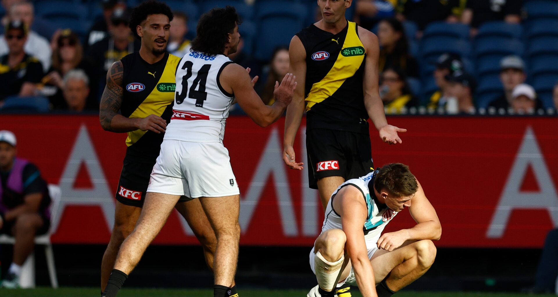 Tiger learns fate for strike, young Swan banned