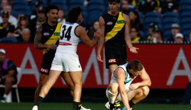 Tiger learns fate for strike, young Swan banned