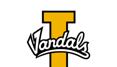 IDAHO BASKETBALL: Vandals land DI transfer forward Ward