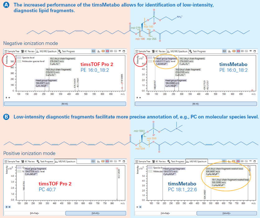 Comparison of MS/MS spectra on timsTOF Pro2 and timsMetabo based on A PE 16:0_18:2 in negative ion mode and B PC 40:7 (PC 18:1_22:6) in positive ion mode, respectively. Molecular structures are shown highlighting the fragments observed in the PASEF MS/MS spectra