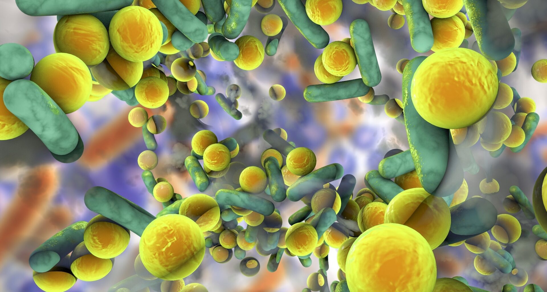 Antibiotic Resistance vs. Antibiotic Tolerance: What is the Difference?